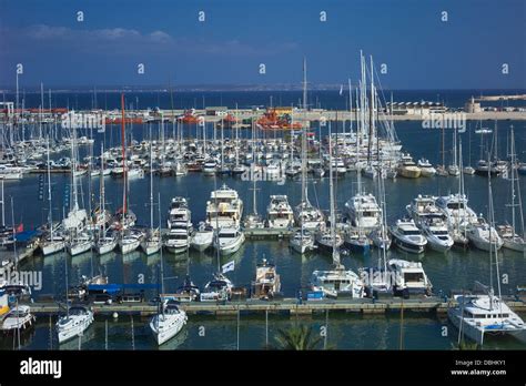 lutron marine palma|Marinas and moorings in Mallorca (Majorca).